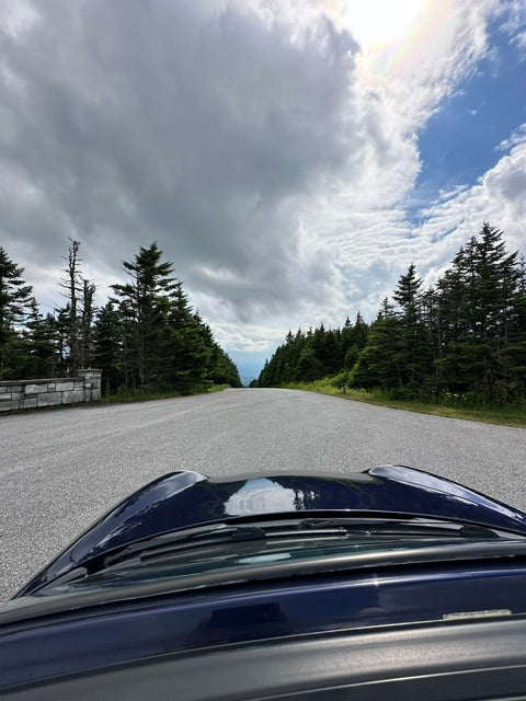 View over the hood of a sports car down an open road lined with evergreens